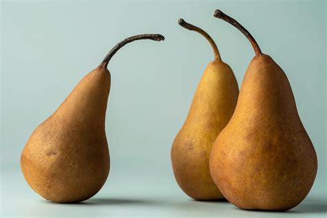 Груша: как выбрать вкусную, сочную