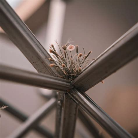 Can Zoos Truly Replicate Natural Habitats? → Question