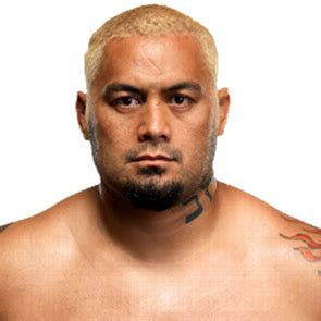 7 Figure Fighter: Uncovering Mark Hunt's Jaw-Dropping Net Worth