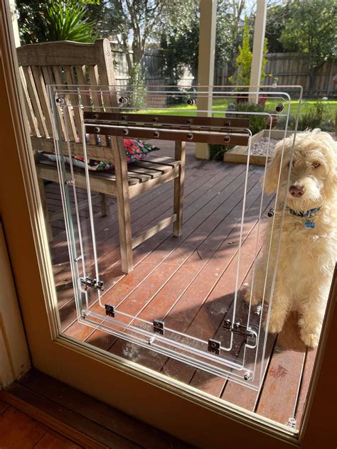 How To Install Glass Dog Door at Lucy Dean blog