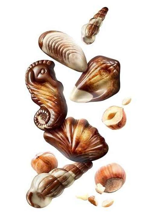 Guylian Seashell Chocolate 65g - Belgian Artistry in Every Bite