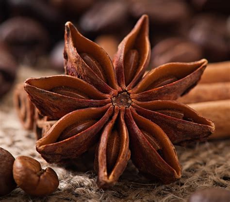 cinnamon flower pictures