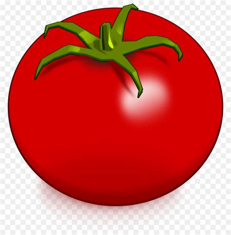 Tomato Drawing Vegetable Clip art - tomato png download - 2376*2400 ...