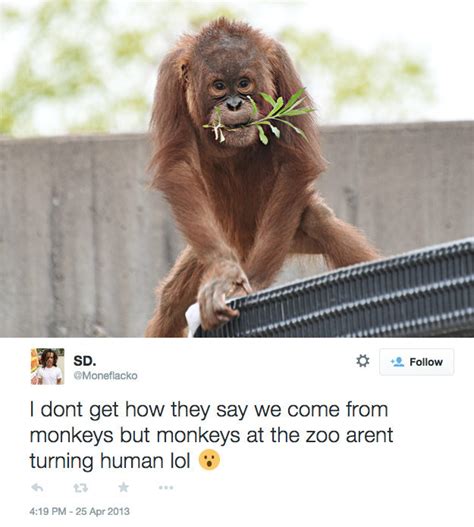 The Question On Every Creationist's Mind