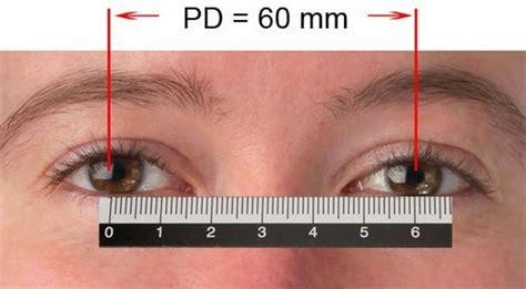 binoculars glossary interpupillary distance