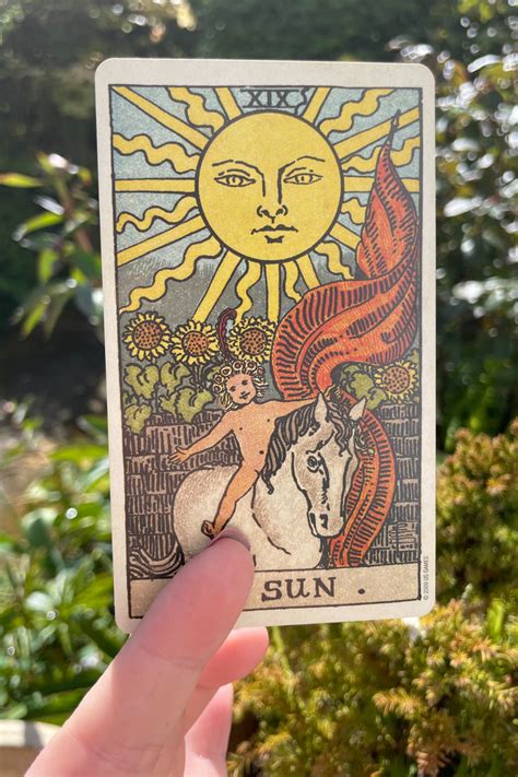 sun tarot meaning love future feelings   lisa