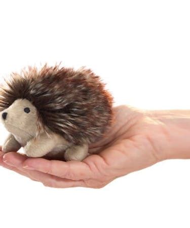 Mini Hedgehog | Roanoke (VA) Gift Delivery | George's Flowers