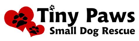 Tiny Paws Small Dog Rescue