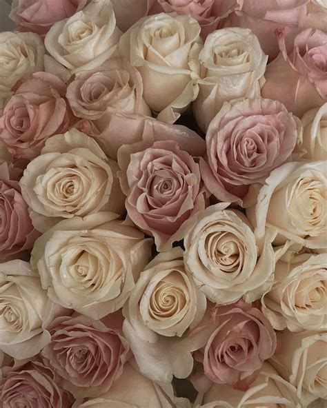 beige floral bouquets pink flowers light pink rose flower aesthetic