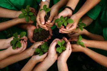 Educação Ambiental: objetivos, importância e nas escolas - Toda Matéria