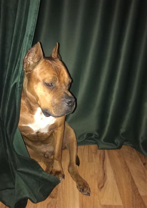 df caa  eadac postimages