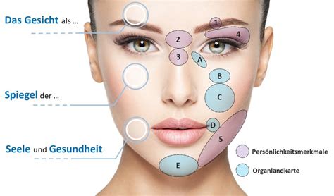 Antlitzdiagnostik: das Gesicht als Spiegel der Gesundheit