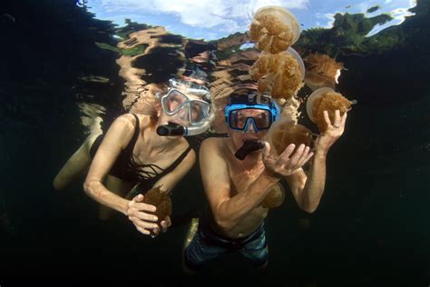 Jellyfish Lake in Palau - Where are Sue & Mike?