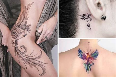 Phoenix And Lotus Flower Tattoo Meaning | Best Flower Site