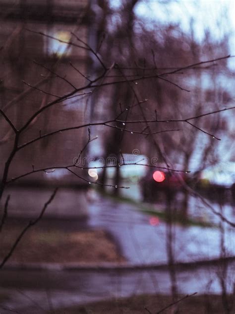 Rainy Weather in a Real Russian Courtyard Stock Image - Image of ...