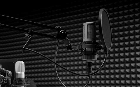 The Ultimate Guide To Choosing Microphones for Your Recording Studio