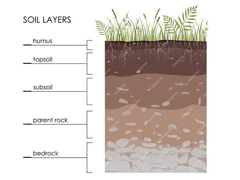 layers  soil diagram  kids