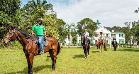 Horse Riding - Riders Resort