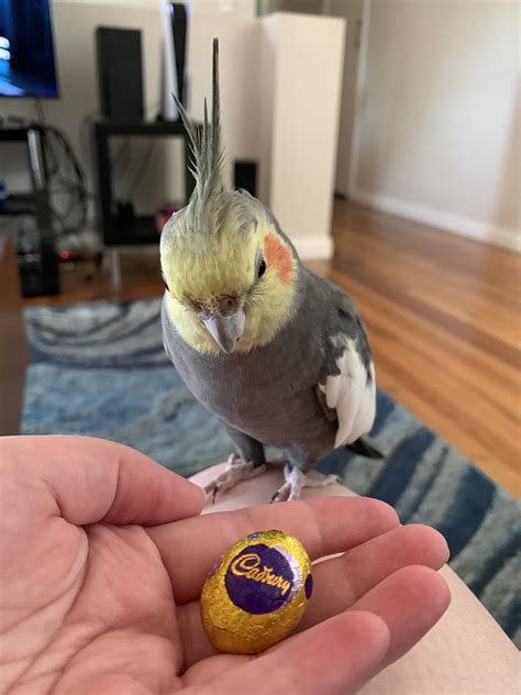 Dominic knew he’d regret that one night stand, but he never expected