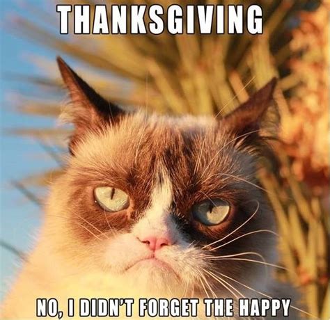 12 Funny Thanksgiving Memes That Capture Our Feelings For That Holiday ...