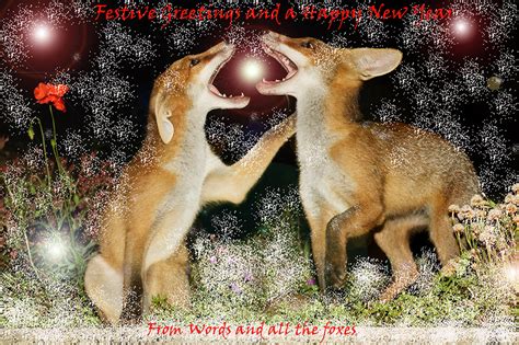 Festive Greetings | Everything is Permuted