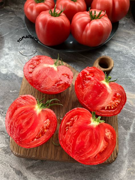 Жрица – Tomatinсa.ru