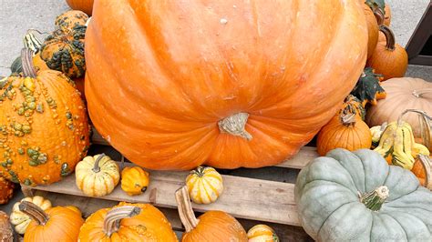 Bloomington restaurants still have fall menu items to savor