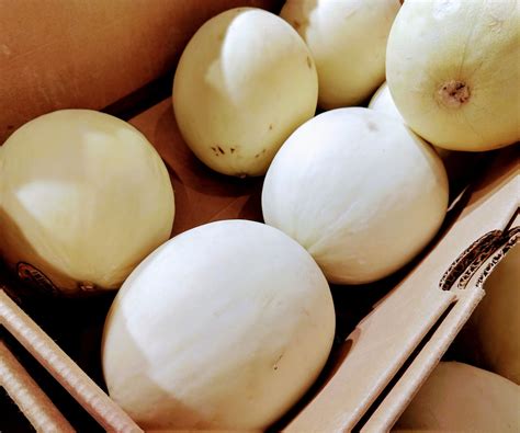 How to pick honeydew: expert tips to harvest ripe melons | Homes and