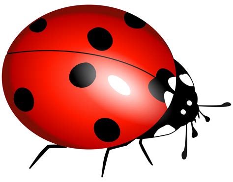 Free Lady Bug, Download Free Lady Bug png images, Free ClipArts on