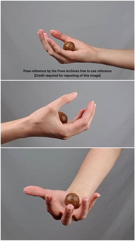 female hand holding ball reference  theposearchives  deviantart