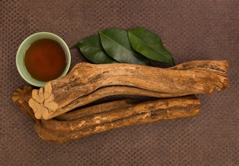 Cha De Ayahuasca Efeitos - What Is Ayahuasca? Uses, Effects and Dangers