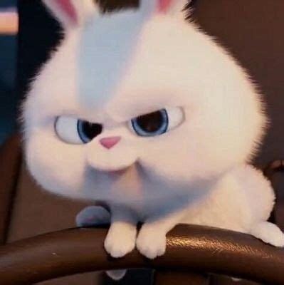 120 Snowball bunny stuff ideas in 2021 | cute bunny cartoon, snowball ...