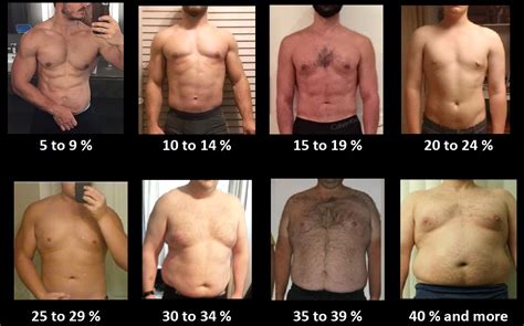 estimate  body fat percentage bf ketogains