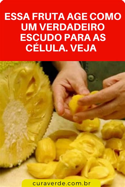 Pode Comer Jaca Menstruada