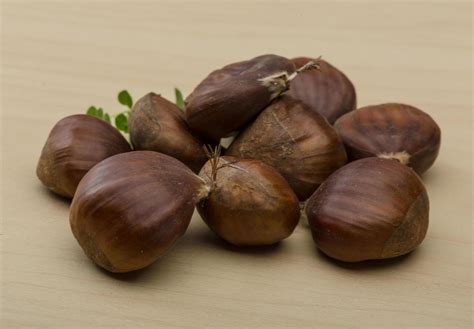 chestnut  wooden background  stock photo  vecteezy