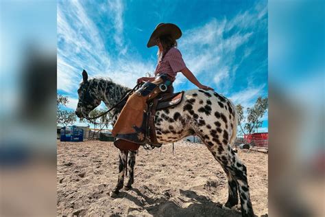 Influencer Emmie Sperandeo hospitalized after horse falls on her at