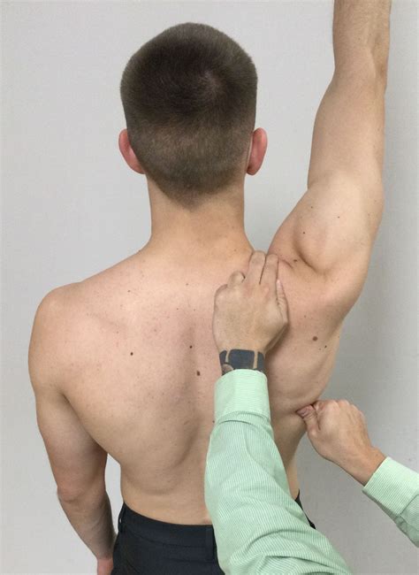 Scapular Control With Flexion Shoulder Scapular Shoulder Rehab
