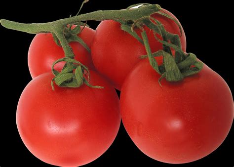 Download Fresh Vine Tomatoes Black Background | Wallpapers.com