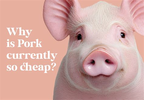 Pork Is So Cheap — But Why? The Hidden Cost Behind Your Ham Sandwich