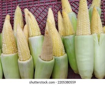 young corn fried stock  images photography shutterstock