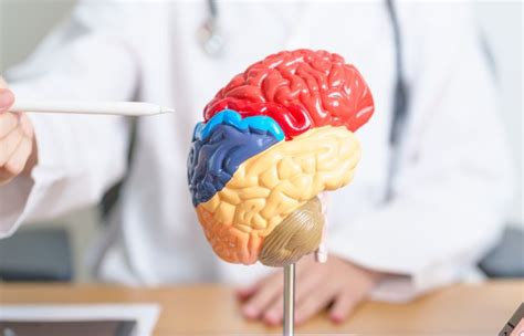 brain stroke  types  risk factors diagnopein