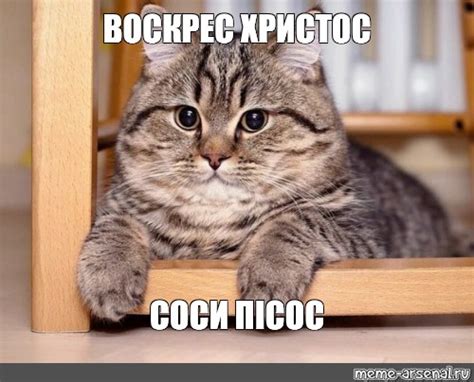 Мем: "ВОСКРЕС ХРИСТОС СОСИ ПІСОС" - Все шаблоны - Meme-arsenal.com