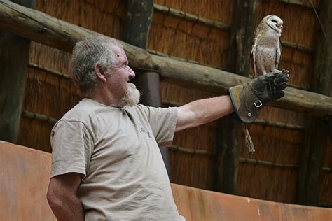 Elderly Man Holding Owl on GloveFree Stock Photo