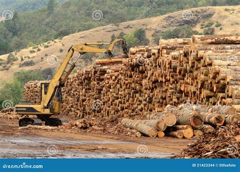 log yard stock photo image  loader claw loading