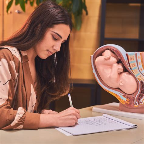 Midwifery/MCHS eBook Access