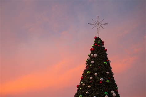 Local News and Headlines from the Corpus Christi Caller-Times 4