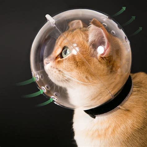 Amazon.com: Bozal para gato, casco de gato con burbujas de tamaño L
