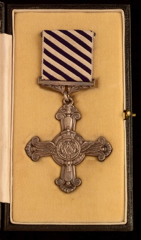 lot  distinguished flying cross