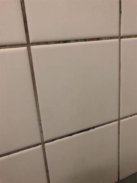 how to get rid of mold in the shower