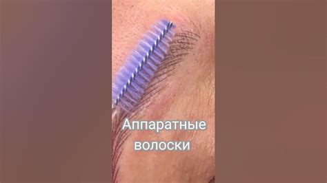 Перманентный макияж в аппаратной технике волоски @annabrows_pm - YouTube